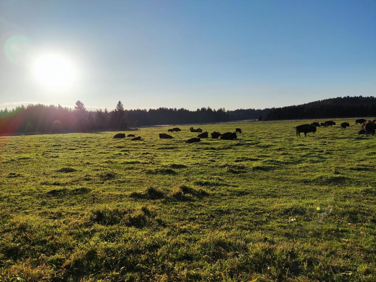 Matejovec 109 & Ubytovani Na Statku Český Rudolec Exteriör bild