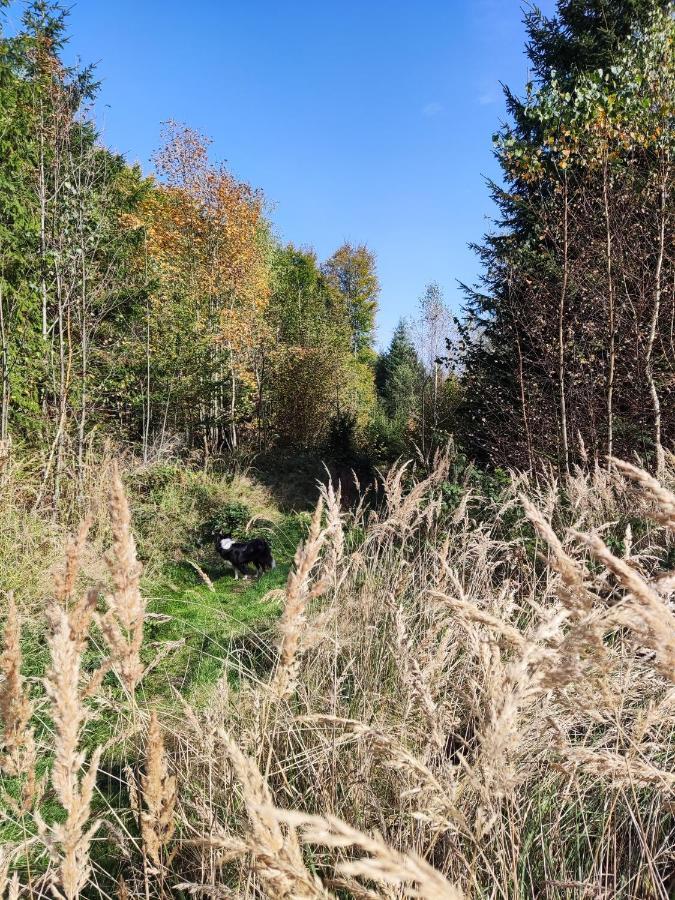Matejovec 109 & Ubytovani Na Statku Český Rudolec Exteriör bild